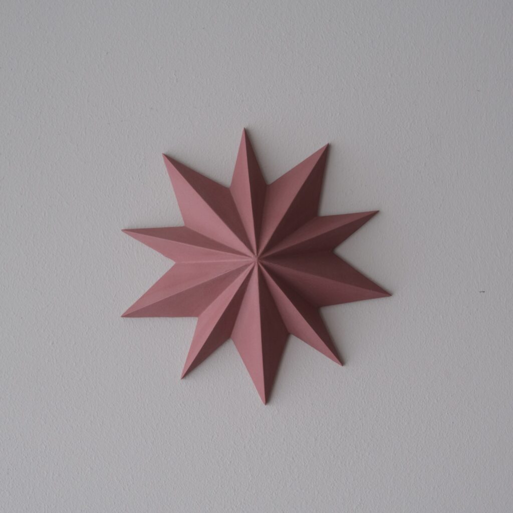 Kerstster kers - Anne