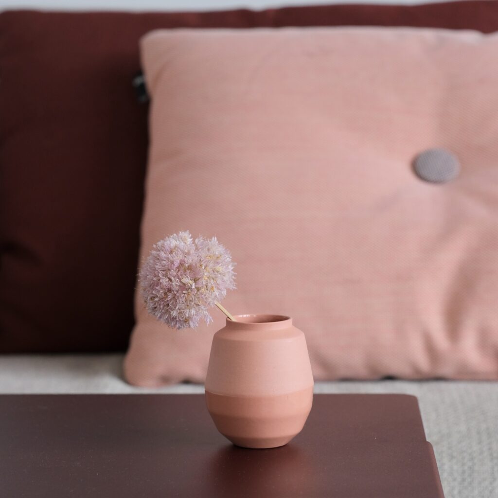 Vaasje Elsje - Abrikoos