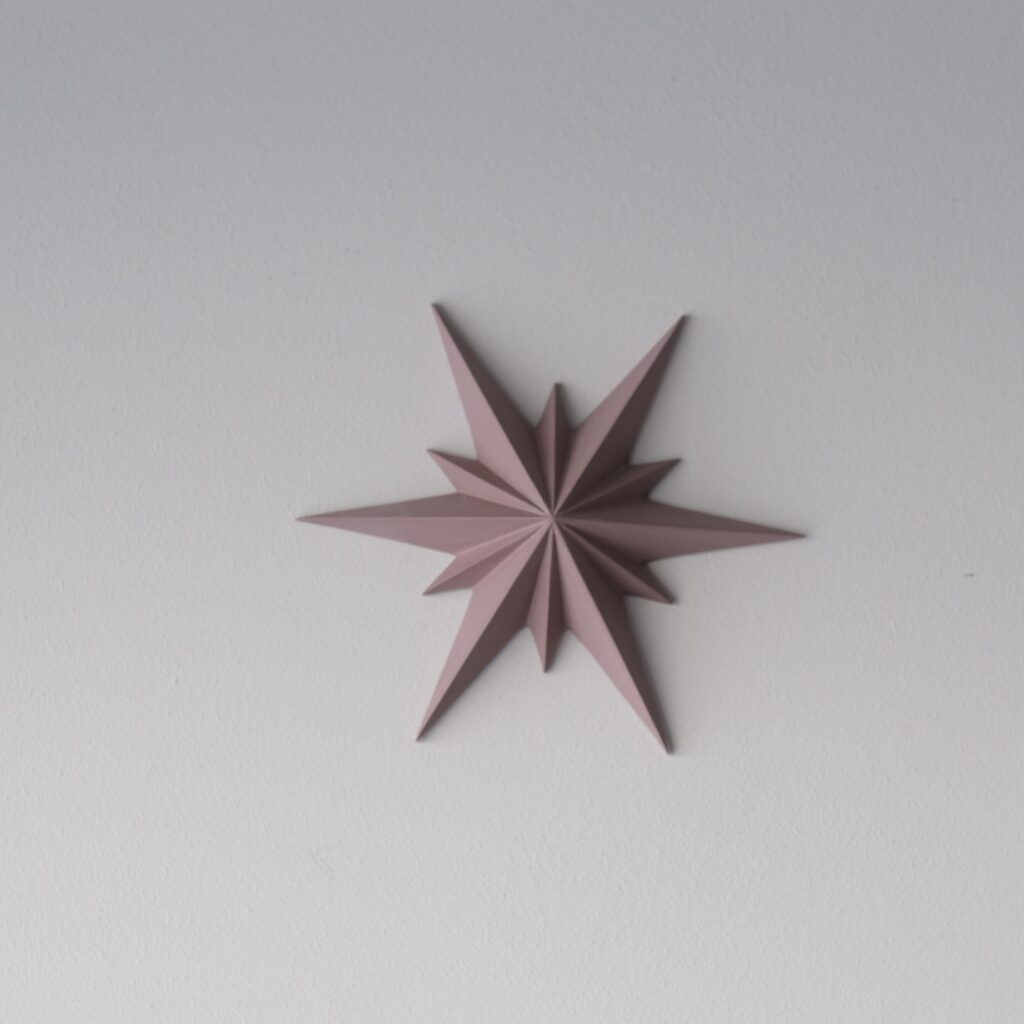 Kerstster vijg - Marielle